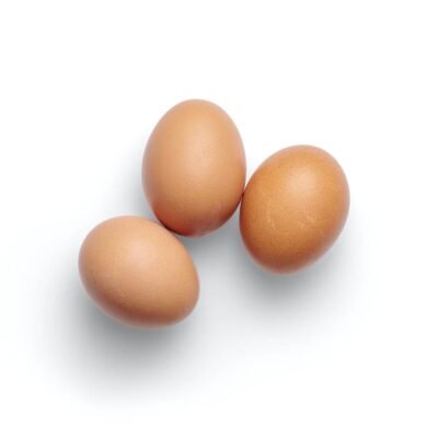 X LARGE LOOSE EGG CARTON  WHITE 15 DOZEN CASE